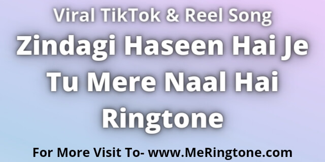 Read more about the article Zindagi Haseen Hai Je Tu Mere Naal Hai Ringtone Download