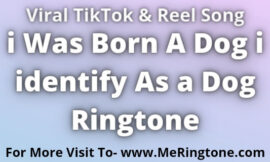 i Was Born A Dog i identify As a Dog Ringtone Download