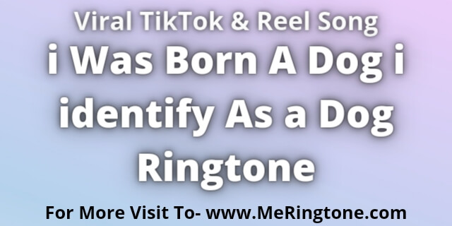 Read more about the article i Was Born A Dog i identify As a Dog Ringtone Download