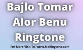 Bajlo Tomar Alor Benu Ringtone Download