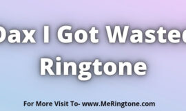 Dax I Got Wasted Ringtone Download