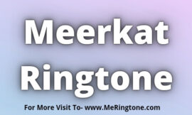 Meerkat Ringtone Download