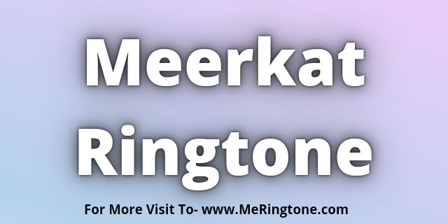 Read more about the article Meerkat Ringtone Download