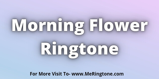 Read more about the article Morning Flower Ringtone Download