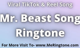 Mr. Beast Song Ringtone