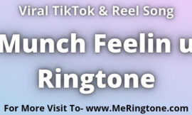 Munch Feelin u Ringtone Download