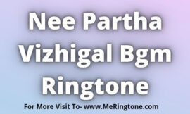 Nee Partha Vizhigal Bgm Ringtone Download