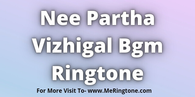 Read more about the article Nee Partha Vizhigal Bgm Ringtone Download