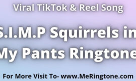 S.I.M.P Squirrels in My Pants Ringtone Download