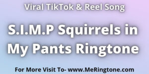 Read more about the article S.I.M.P Squirrels in My Pants Ringtone Download