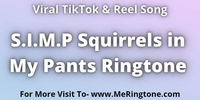 You are currently viewing S.I.M.P Squirrels in My Pants Ringtone Download