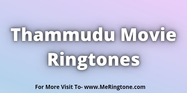 You are currently viewing Thammudu Movie Ringtones Download