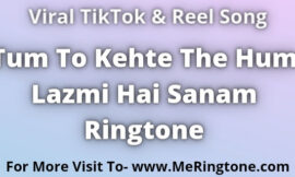 Tum To Kehte The Hum Lazmi Hai Sanam Ringtone Download