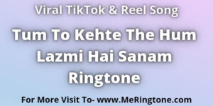 Read more about the article Tum To Kehte The Hum Lazmi Hai Sanam Ringtone Download