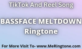 BASSFACE MELTDOWN Ringtone Download