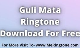 Guli Mata Ringtone Download For Free