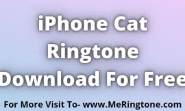 iPhone Cat Ringtone Download For Free