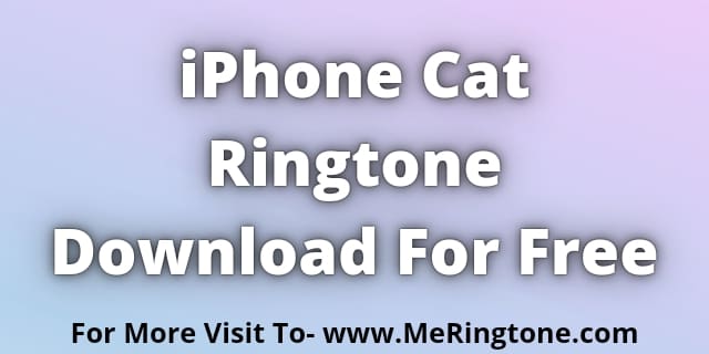 Read more about the article iPhone Cat Ringtone Download For Free