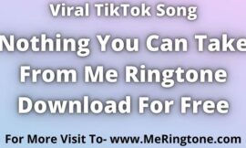 Nothing You Can Take From Me Ringtone Download For Free