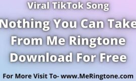 Nothing You Can Take From Me Ringtone Download For Free