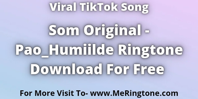 You are currently viewing Viral TikTok Song Som Original Pao Humiilde Ringtone Download For Free