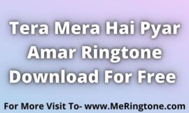Tera Mera Hai Pyar Amar Ringtone Download For Free