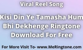 Kisi Din Ye Tamasha Hum Bhi Dekhenge Ringtone Download