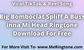 Big Bomboclat Spliff A Buss inna Mi Head Ringtone Download For Free