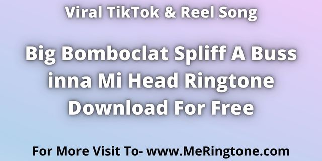 Read more about the article Big Bomboclat Spliff A Buss inna Mi Head Ringtone Download For Free