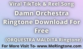 Damn Orchestra Ringtone Download For Free