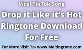 Drop it Like it’s Hot Ringtone Download For Free