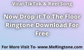 Now Drop it To The Floor Ringtone Download For Free