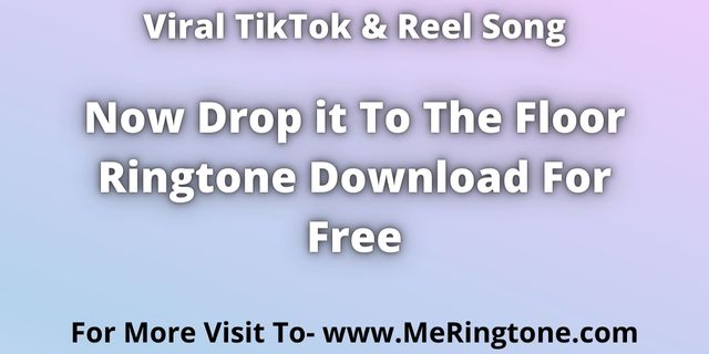 Read more about the article Now Drop it To The Floor Ringtone Download For Free