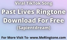 TikTok and Reel Song Past Lives Ringtone Download For Free