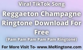 Reggaeton Champagne Ringtone Download For Free