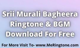 Srii Murali Bagheera Ringtone and BGM Download For Free