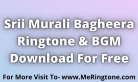 Srii Murali Bagheera Ringtone and BGM Download For Free