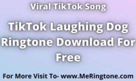 Trending TikTok Laughing Dog Ringtone Download For Free