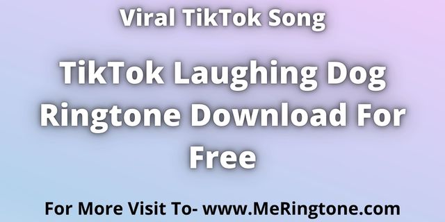 Read more about the article Trending TikTok Laughing Dog Ringtone Download For Free