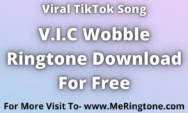 VIC Wobble Ringtone Download For Free