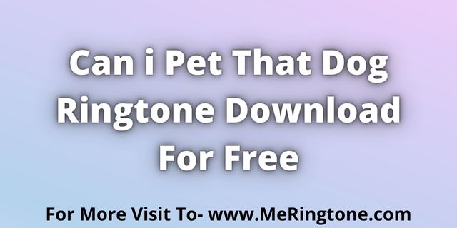 Read more about the article Can i Pet That Dog Ringtone Download For Free