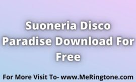 Suoneria Disco Paradise Download For Free
