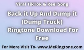 TikTok Song Back It up and Dump It Ringtone Download For Free