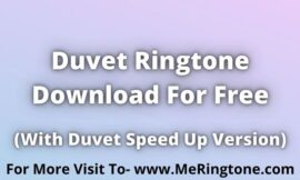 Duvet Ringtone Download For Free