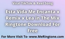 TikTok Song Esta Vida Me Encanta x Remix x Lea in The Mix Ringtone Download For Free