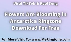 Flowers Are Blooming in Antarctica Ringtone Download For Free