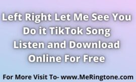 Left Right Let Me See You Do it TikTok Song Download For Free