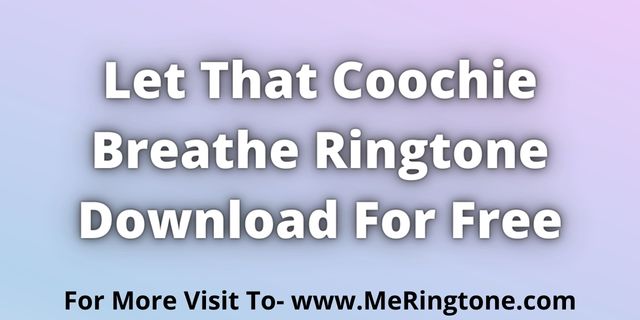 You are currently viewing Let That Coochie Breathe Ringtone Download