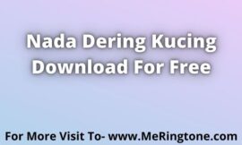 Nada Dering Kucing Download For Free