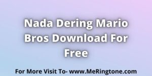 Read more about the article Nada Dering Mario Bros Download For Free